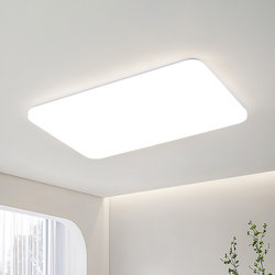Nvc Lighting Ceiling Light Living Room Light Bedroom Light Modern Simple New Main Light Zhongshan Lighting Ceiling Light Package
