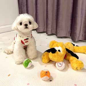 
Pet grinds teeth and bites BB, cute small dog, dog-shaped bouncy ball, sound toy, thorn ball teddy cat