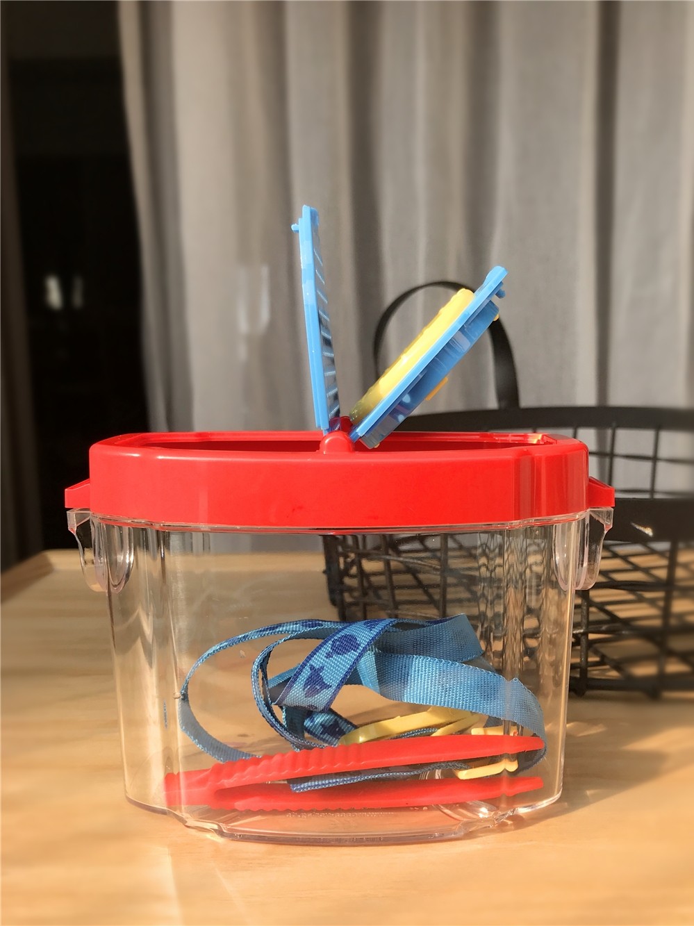 Children's Insect Observation Kit - Magnifying Glass & Collection Box