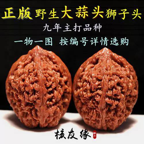 文玩 クルミ 核桃 ガマ头 蛤蟆头