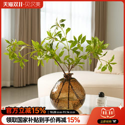 Beihanmei Glass Vase, High-End Modern Minimalist Style, Horse-Drooping Tree Entrance Decoration, Living Room Decoration, Hydroponic Flower Arrangement