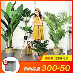 Simulated Green Plants, Fake Plants, Traveler's Banana Tree, Artificial Green Plant Potted Plants, Large Indoor Decorative Ornaments, Fake Trees, Artificial Trees