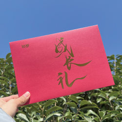 Growth gift envelope, name stamping, customized stationery, complete with