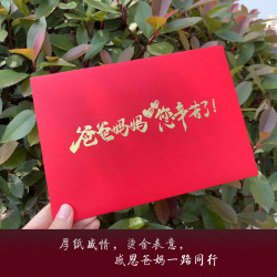 Adult gift envelopes for parents, a variety of hot stamping options, children can send parents gratitude and blessing messages, free shipping