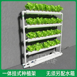 Vertical Hanging Balcony Planting Rack Soilless Cultivation Equipment, Integrated Liquid Storage and Automatic Irrigation Hydroponic Vegetable Growing Device