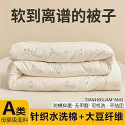 Soybean Quilt, All-Cotton Class a Quilt, 2025 New Winter Model, Winter Quilt Core, Spring and Autumn Quilt, Winter Quilt, Thickened Winter Quilt