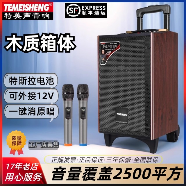 Temeson A8-24 Outdoor high-power square dance lever mobile sound zone wireless microphone K song Bluetooth speaker
