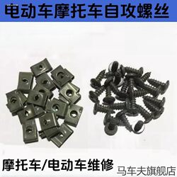 Special Self-Tapping Screws and Nuts for Electric Vehicle and Motorcycle Shells, Pointed Cross-Shaped Anti-Rust Nails, Military Green Plated Clips