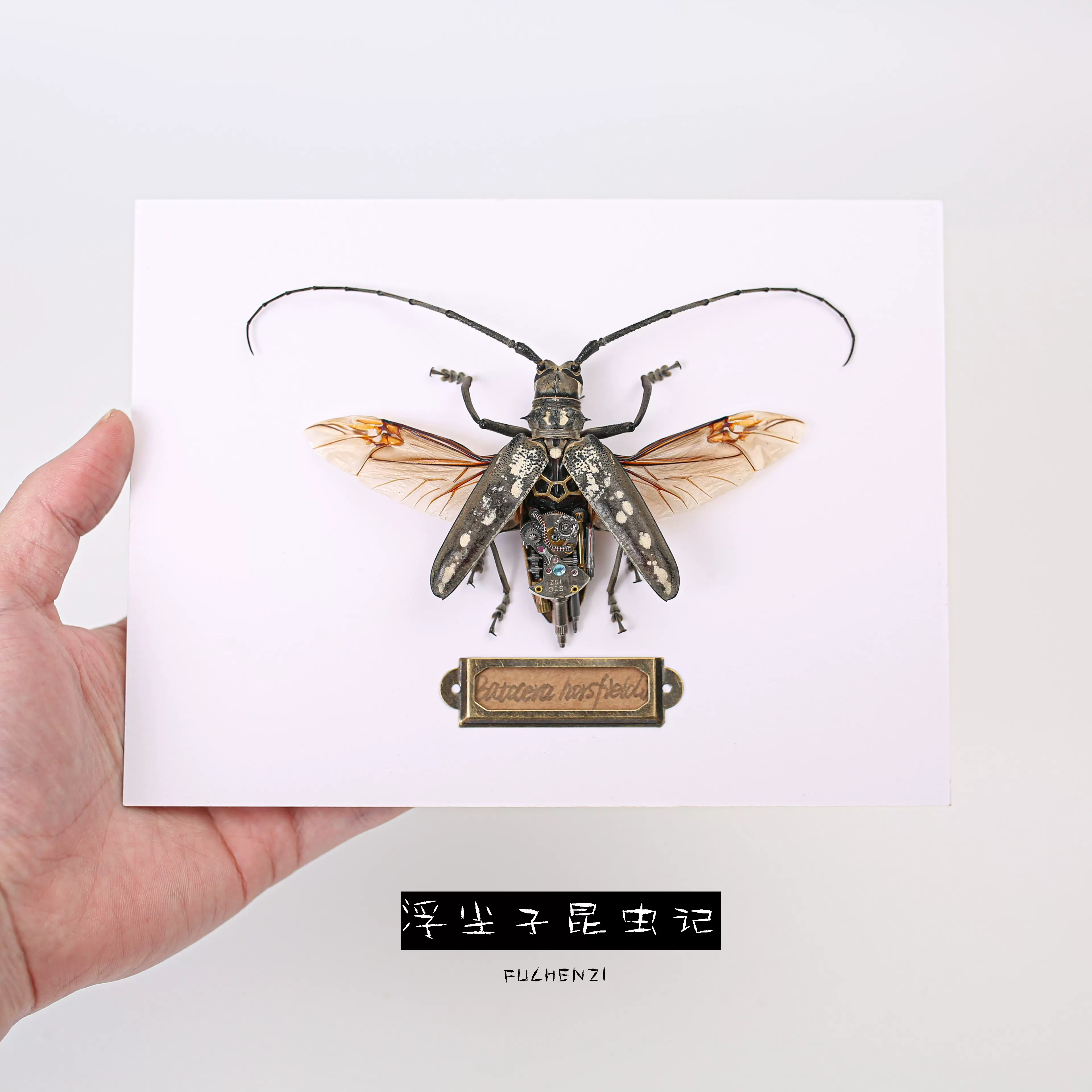 蒸汽朋克机械昆虫云斑天牛标本纯手工制作创意工艺品礼物摆件