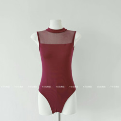 Small Stand-Up Collar Ballet Dance Practice Outfit Rhythmic Gymnastics Leotard Adult Women High Collar