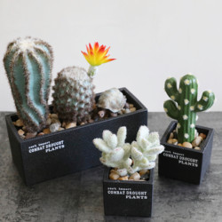 Simulated succulent plant potted cactus desert artificial artificial flower climbing pet indoor home table decoration ornaments