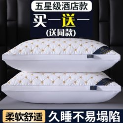 Buy One Get One Free Five-Star Hotel Pillow Core High Resilience Feather Silk Home Neck Protection Pillow Single Adult Full Head Pillow with Pillowcase