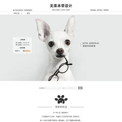 A341 Taobao store decoration template pet food cat food dog food toys clothing cleaning supplies permanently free