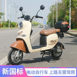 Daily Rent Travel Car Rental Tortoise King Electric Bicycle Adult Women's Car Electric Car Battery Car