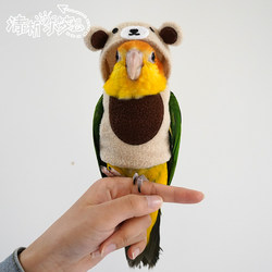 Clear Little Dream Pet Parrot Bird Clothes Winter Velvet Thickened Warm Sweater Flying Cotton Clothes Bear Style
