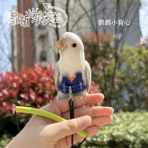Clear and original pet parrot bird bird Xuanfeng ultra -light strap vest goes out to pull the clothes to prevent flying flight clothes
