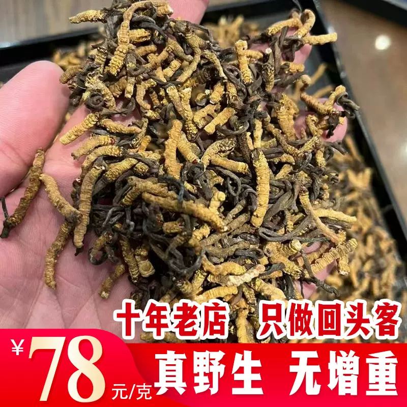 冬虫夏草 73630-36-