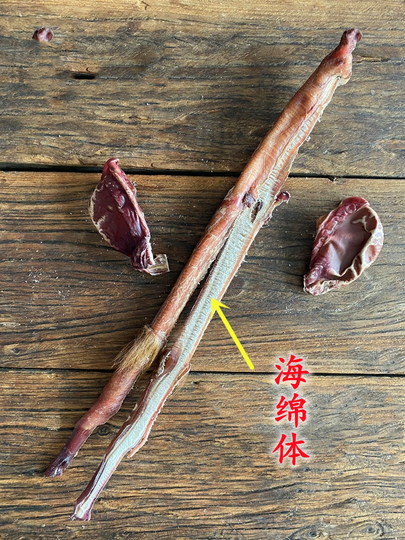 森特鹿鞭超大品质正品种鹿干鹿筋鹿鞭膏整枝鹿茸鹿鞭吉林鹿鞭