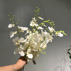 Dancing Orchid Oncidium Simple Style Simulation Artificial Flower