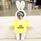 Customized Doll Rabbit Plush Toy Doll Real Rabbit Photo Doll 214 Valentine's Day Gift for Girls