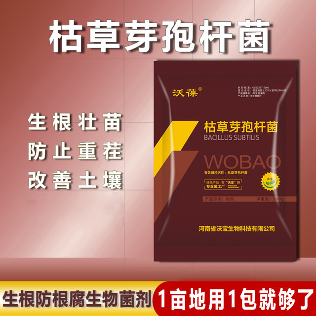 Bacillus subtilis organic vegetable soil improvement bacteria agricultural disease control fertilizer planting single microbial bacteria