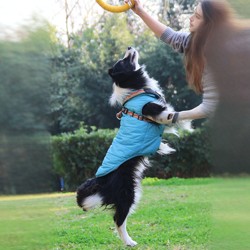 Dog Clothes Autumn and Winter Clothing Teddy Bichon Pomeranian Small Dog Pet Autumn and Winter Warm Clothing