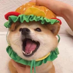 Dog cat burger hood collar hat cartoon