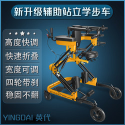 Multifunctional Standing Frame, Walking Frame, Adult Walker, Elderly Stroke Hemiplegia Lower Limb Training Home Rehabilitation Equipment