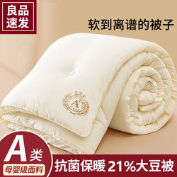 Soybean Fiber Quilt Core, Suitable for All Seasons, Spring and Autumn Quilt, 2025 New Model, Single Student Dormitory Quilt, Thick Winter Quilt