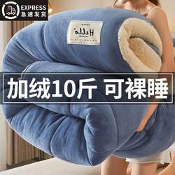 Lamb Wool Quilt 2025 New Winter Cotton Quilt Core, Single Dormitory Autumn and Winter Quilt, Thickened and Warm 5kg