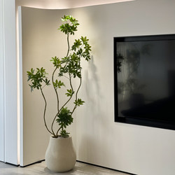 High-End Luxury Indoor Living Room Artificial Green Plant, Large Floor-Standing Faux Plant Made of Duckbill Wood