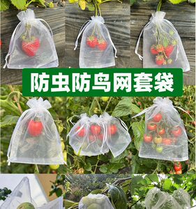 Fruit net baggage insect -proof bird gauze net bag strawberry bags blealing pomegranate pomegranate bag