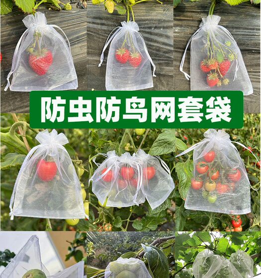 Fruit net baggage insect -proof bird gauze net bag strawberry bags blealing pomegranate pomegranate bag
