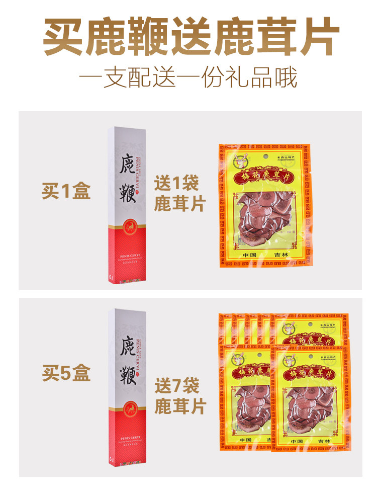 中国東北部産の鹿のペニスを丸ごとギフトボックスに入れて - 長白山で 
