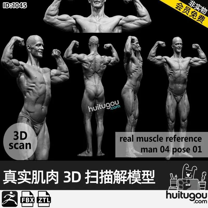 AnatomyTools.com 解剖学人体模型 真实男性人体3D扫描解剖学姿势模型muscleanatomy Man04 pose 01