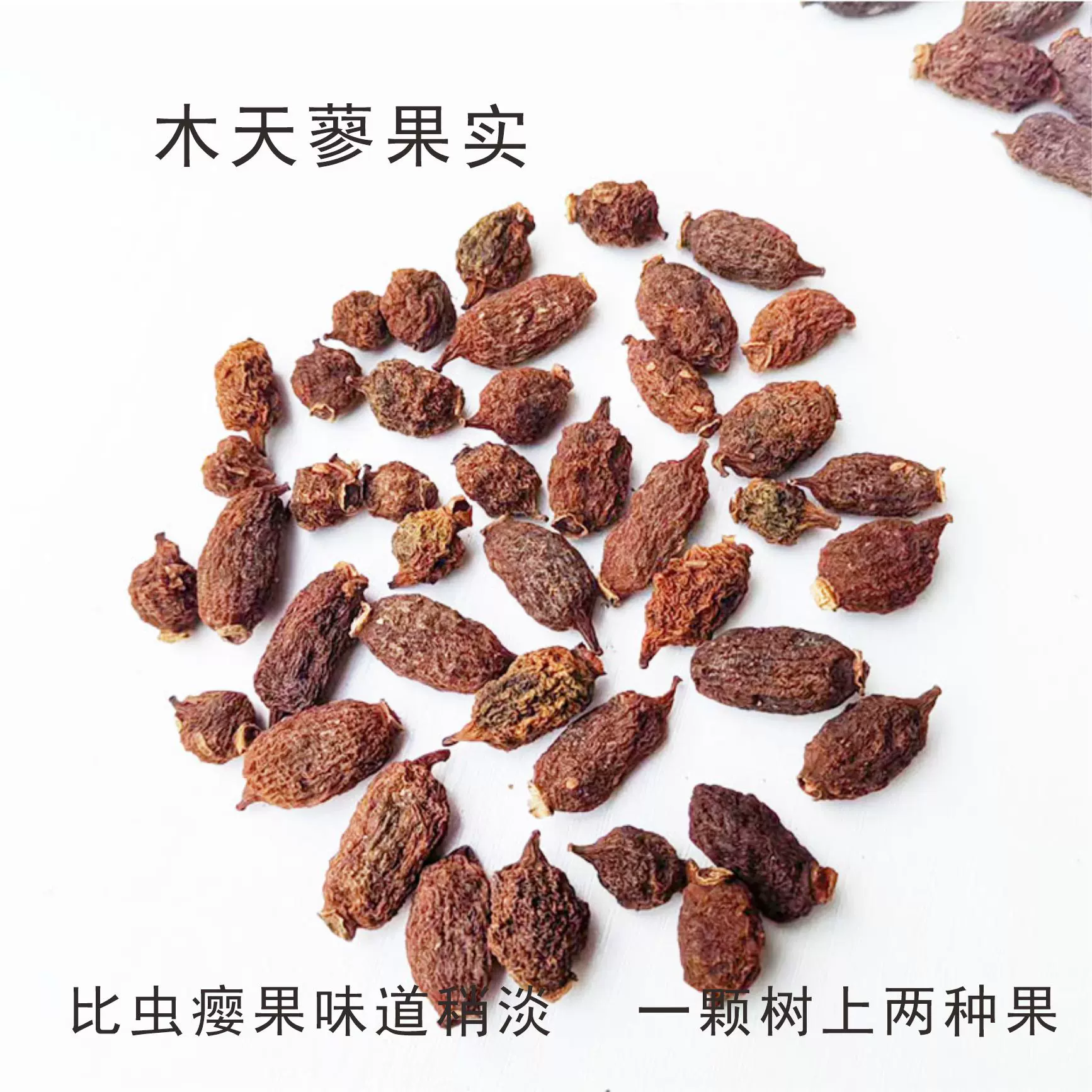 虫瘿果木天蓼果子水杨桃果实宠物猫咪磨牙果猫咪水果零食成猫