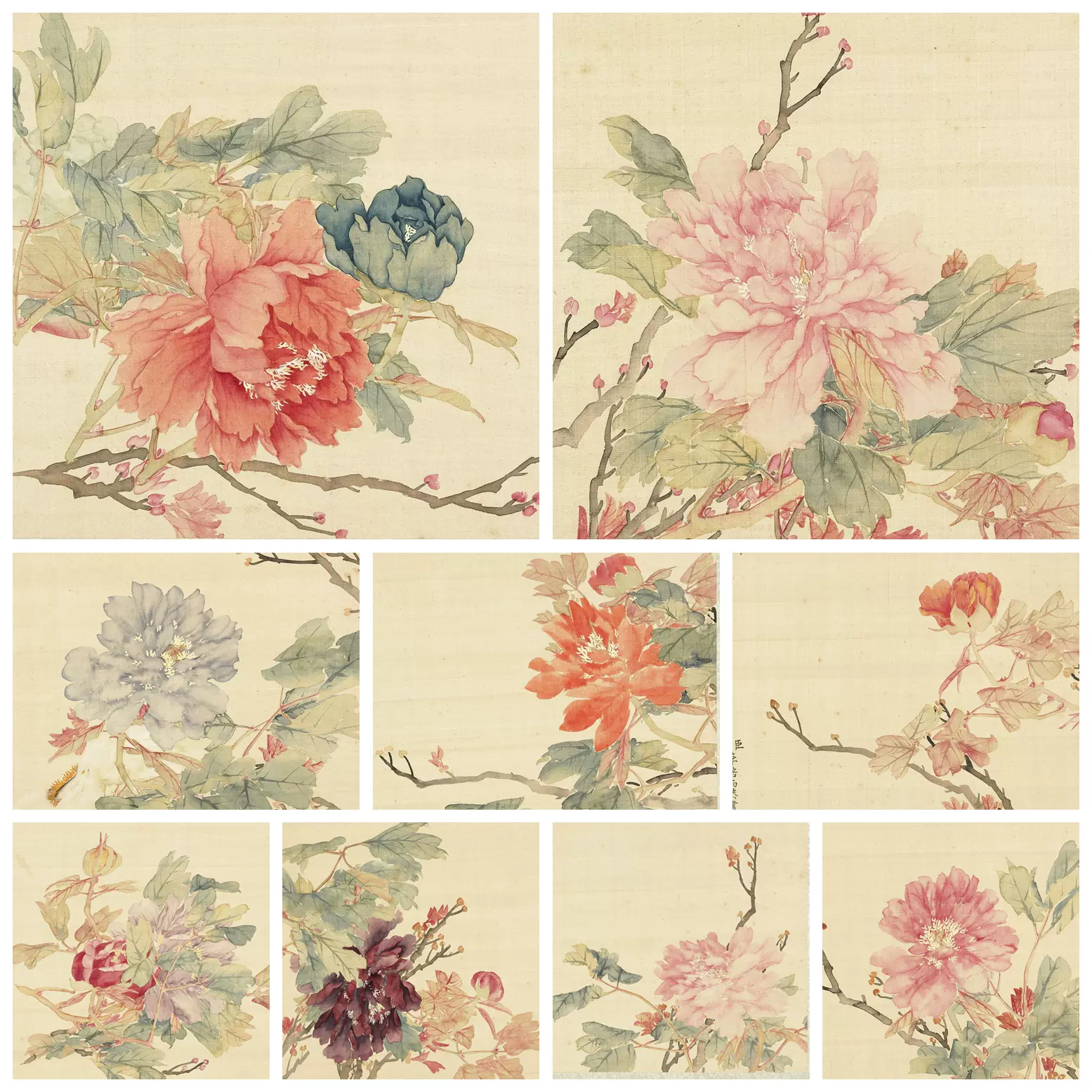 花卉图1 恽寿平《花卉图册》 | 湖南博物院