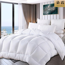 Hotel White Pure Cotton Polyester Fiber Spring and Autumn Feather Velvet Warm All-Season Quilt Core Student Winter Quilt
