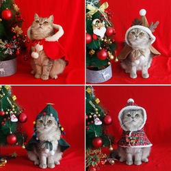 Cat and Dog Christmas Cape, Winter Warm Shawl, Nightgown, Cute Pet New Year's Funny Clothes for Photo Taking