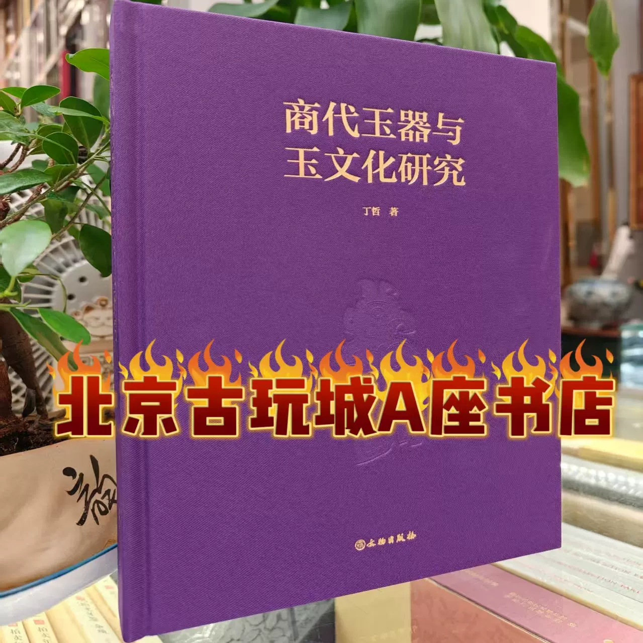 古玉 痕迹学鉴定 古砡痕跡学鑑定　白海波　中古 白海波著】南阳出土玉器痕迹解析另荐古玉痕迹学鉴定玉雕工艺显微