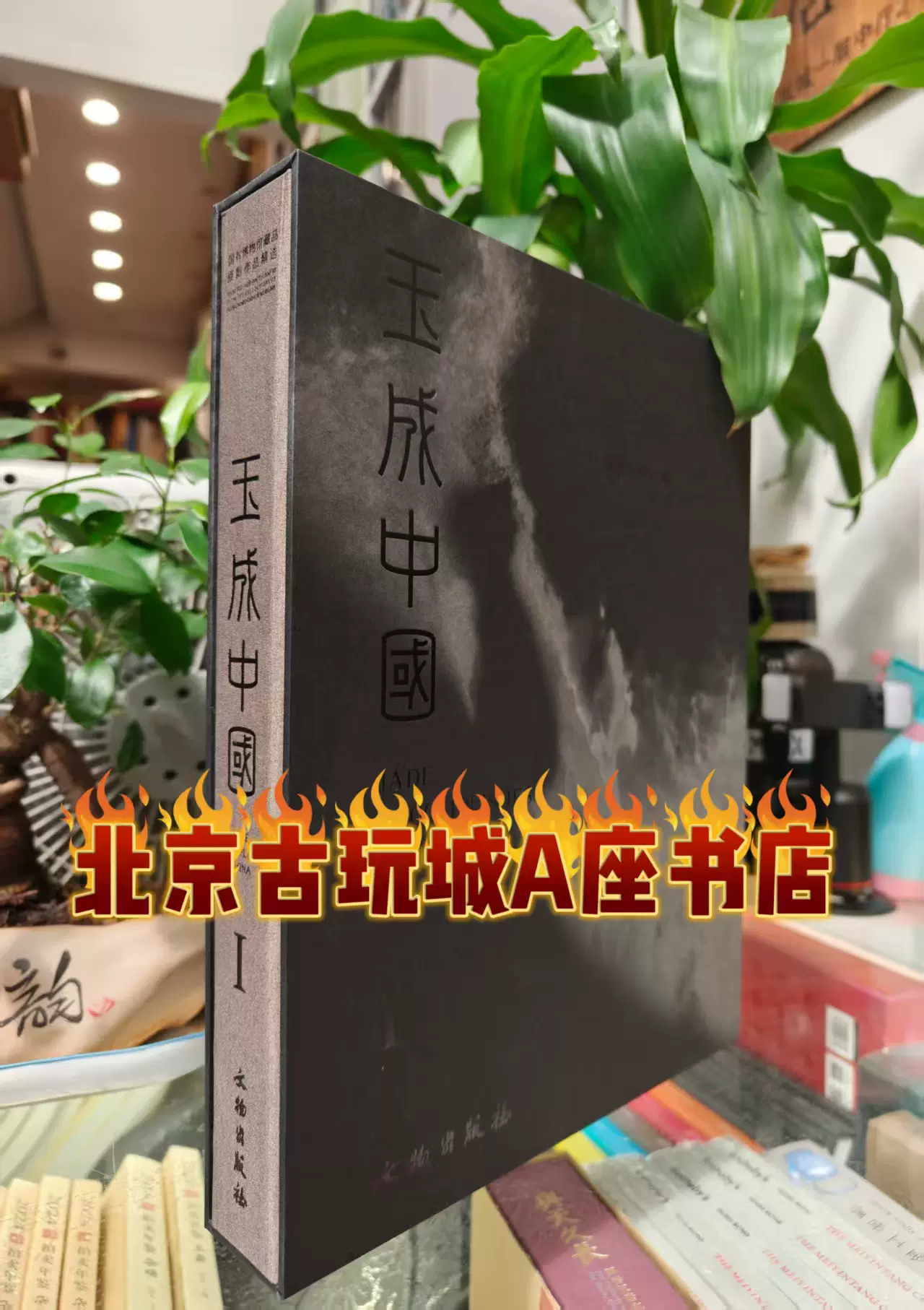古玉痕迹学鉴定书籍显微镜下的古玉研究白海波著作