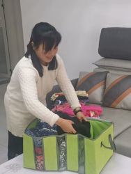 Moisture-Proof Divided Storage Bag, Grid-Type Clothing Storage Box, Clothing Organizer Box with Lid and Zipper, Organizing Box