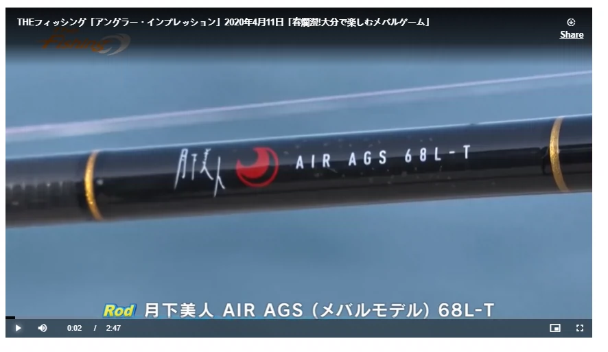 达亿瓦Daiwa 月下美人AIR AGS 68L-T 74UL-S 78ML-S 根钓路亚杆-Taobao