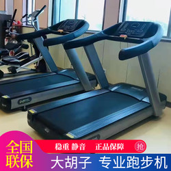 Dhz Big Beard X8200 Commercial-Grade Professional Gym Treadmill Large Smart Silent Indoor Fitness Equipment