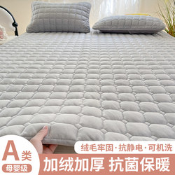 Mattress Autumn and Winter Milk Velvet Pad Bedding Winter Thickened Warm Soft Pad Home Dormitory Student Single Bed Mattress Pad