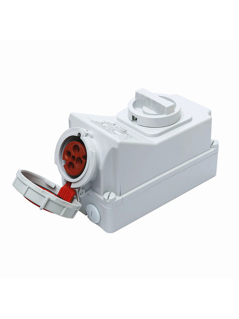 Reefer Container Waterproof Mechanical Interlock Switch – 32A 4P IP67 With Socket And Plug (2644 Socket / 2175 Plug)