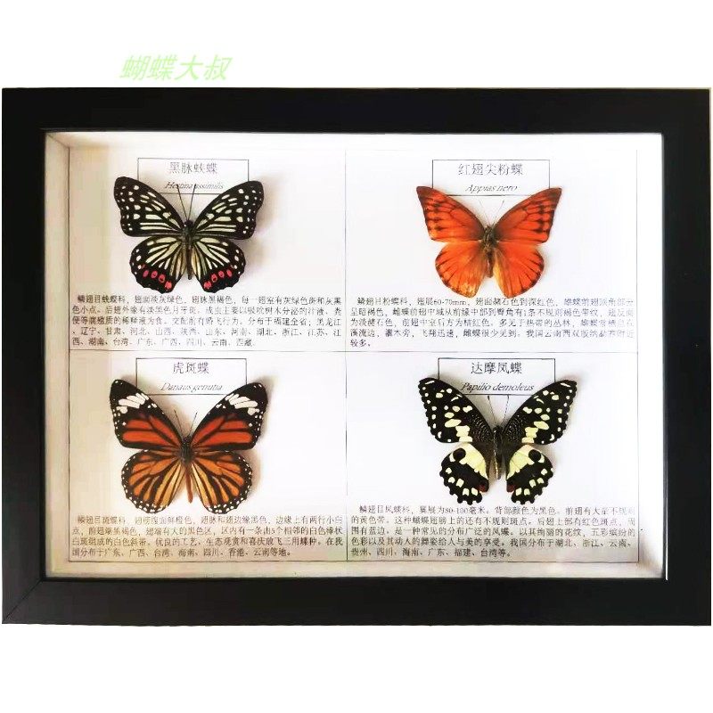 O1CN01rzJCN42BRTxLWimf2_!!