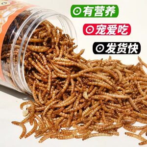 Hamster grain feed hedgehog hamster snacks tripeworm dried yellow mealworm turtle food supplies tripeworm nutrition special
