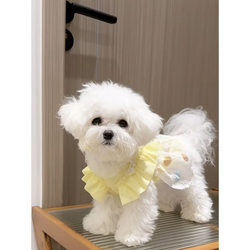 25 New Styles of Pet Dog and Cat Home Clothing Princess Dresses for Teddy, Bichon, Maltese, Pomeranian