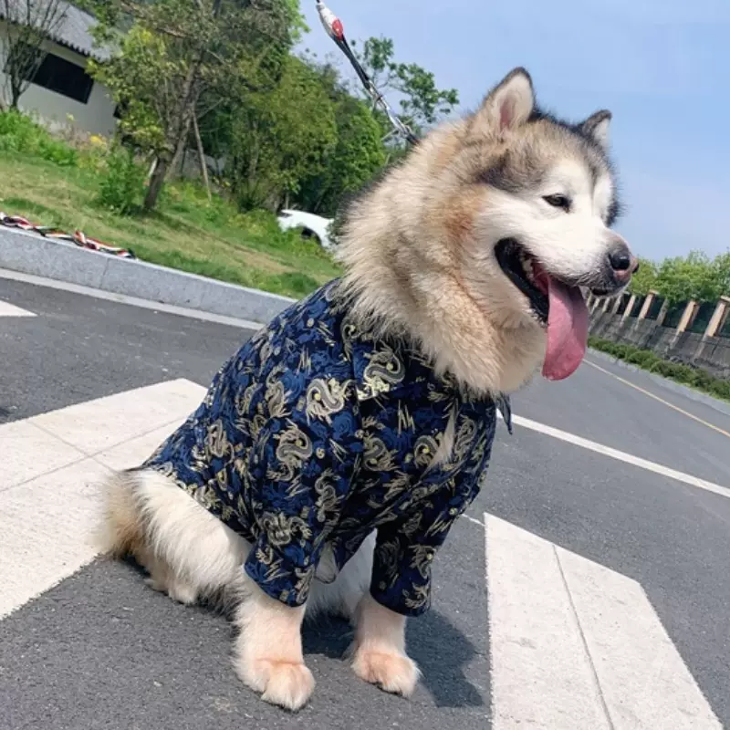 大狗狗衣服春季日式和风中大型犬柯基边牧萨摩